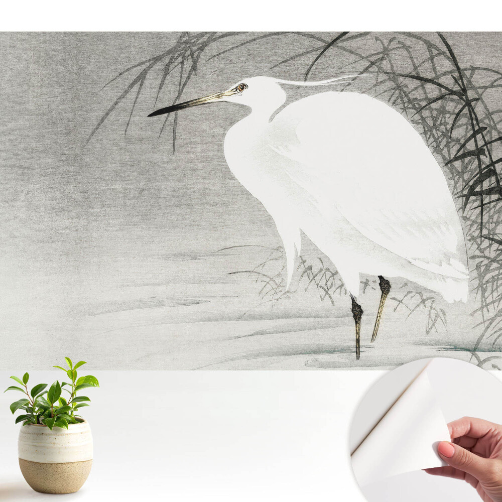 Tapeta Volavka na pozadí trstiny