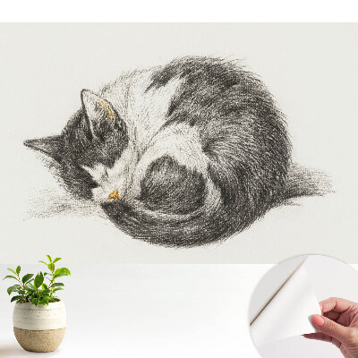 Luxusná tapeta s centrálnou ilustráciou spiaceho mačiatka