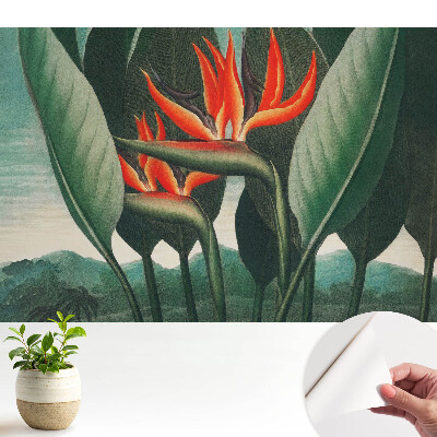 Tapeta s exotickými rastlinami na zelenom pozadí