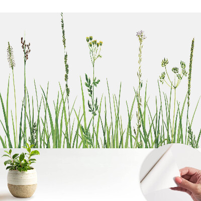 Tapeta na stenu samolepiaca s akvarelovým motívom divokých kvetov a tráv