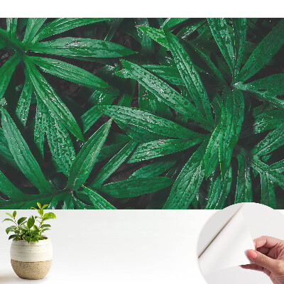 Tapety na stenu samolepiace Detail listov