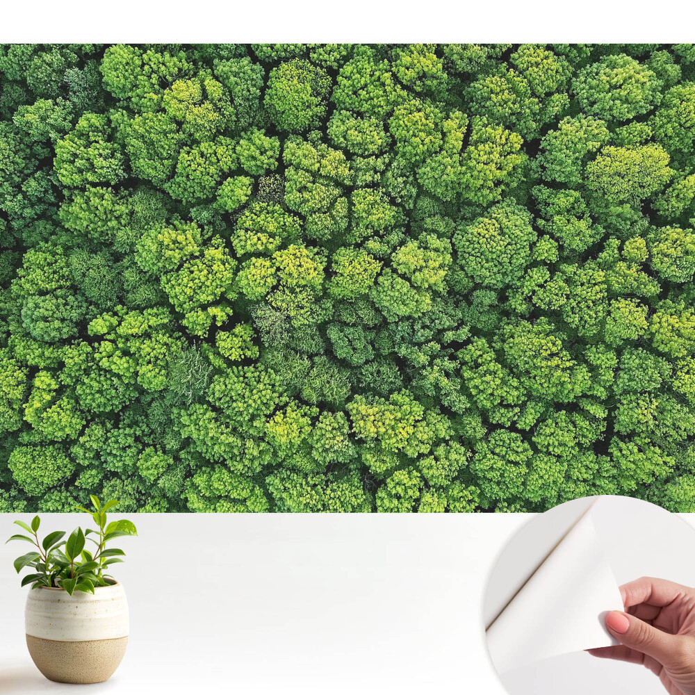 Tapeta do obývačky Zelený les zhora