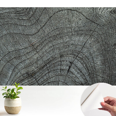 Tapeta na stenu samolepiaca s motívom rustikálnej symetrie dreva