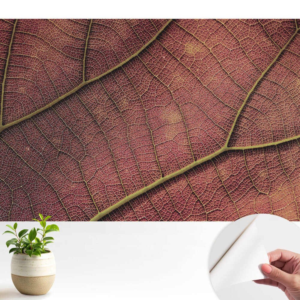 Tapeta Štruktúra listu je plná detailov a farieb