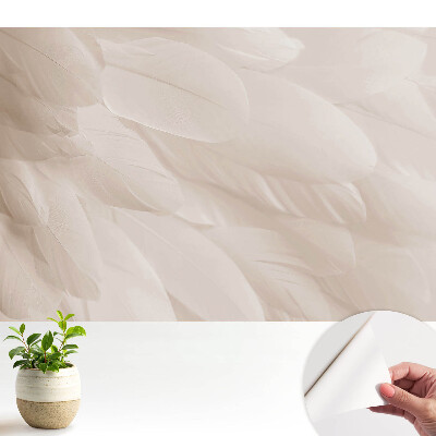 Tapety na stenu samolepiace Jemné pierka, harmonické zloženie