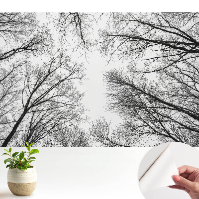 Tapeta do obývačky s čiernobielym motívom zimných stromov
