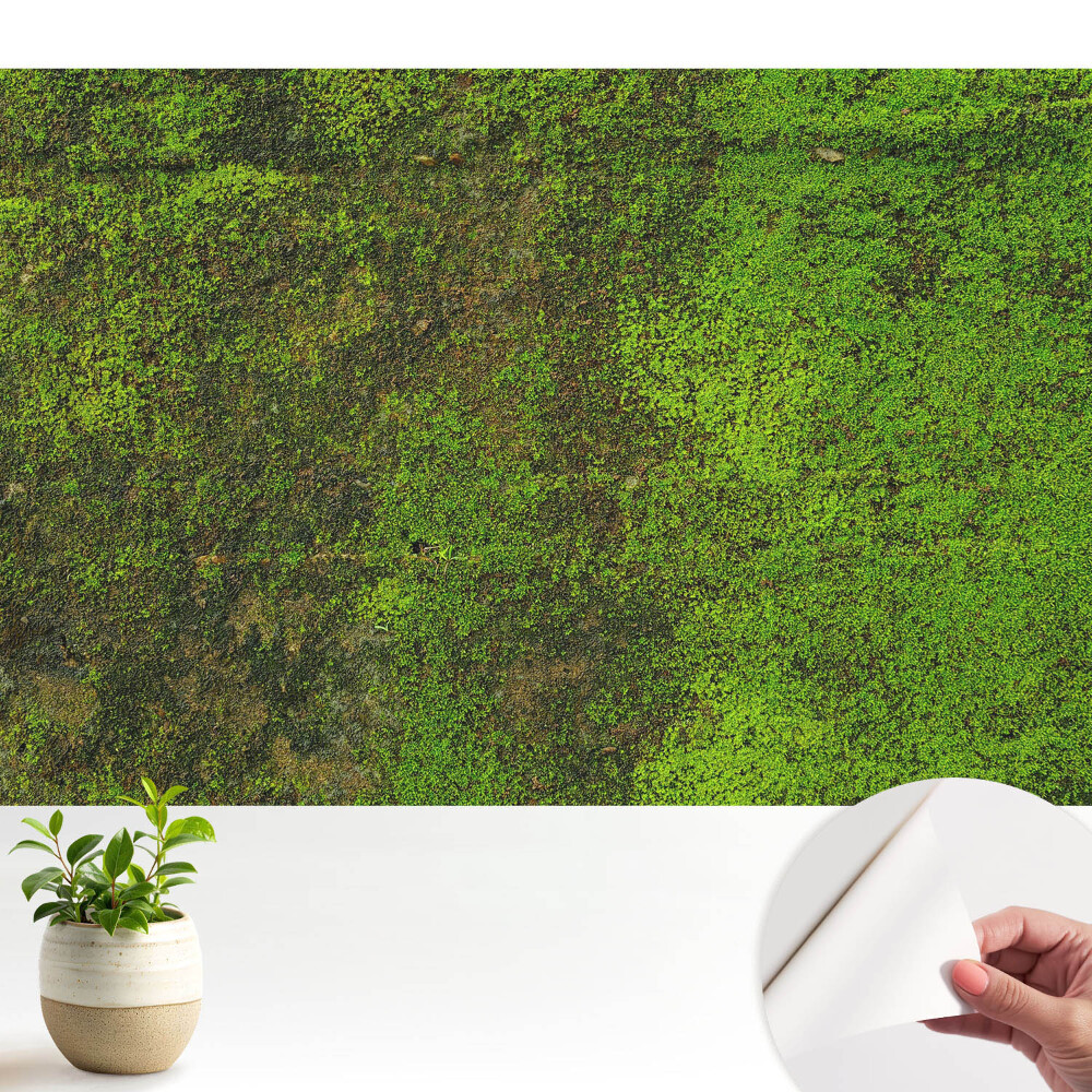 Tapeta do obývačky Organická textúra machu