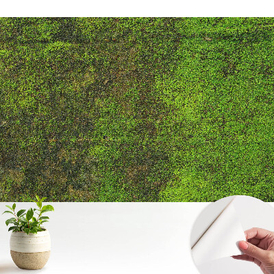 Tapeta do obývačky Organická textúra machu