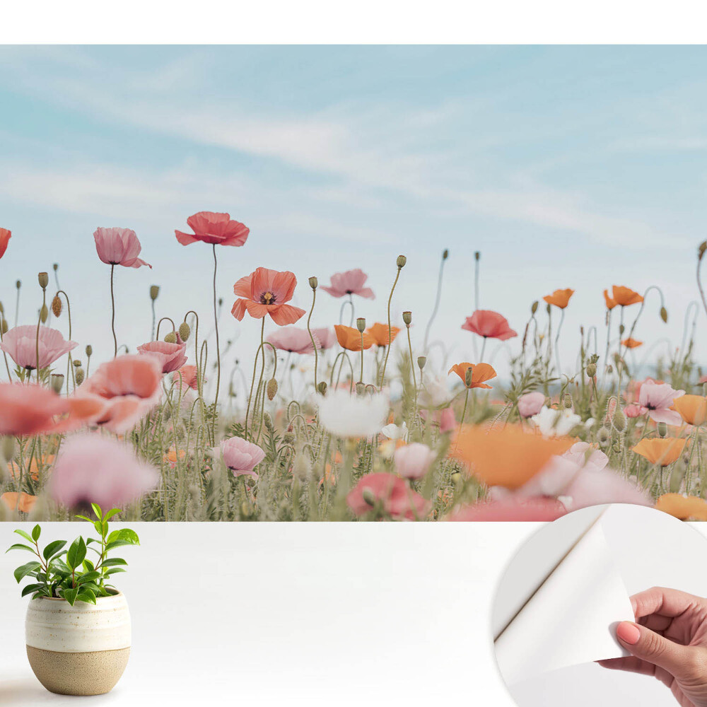 Luxusná tapeta Farebné vlčie maky proti modrej oblohe