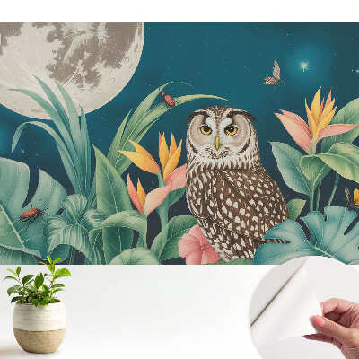 Tapety na stenu samolepiace Nočná krajina so sovou a mesiacom