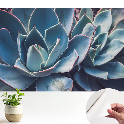 Tapeta do obývačky so sukulentným vzorom vytvárajúcim symetriu v minimalistickom štýle