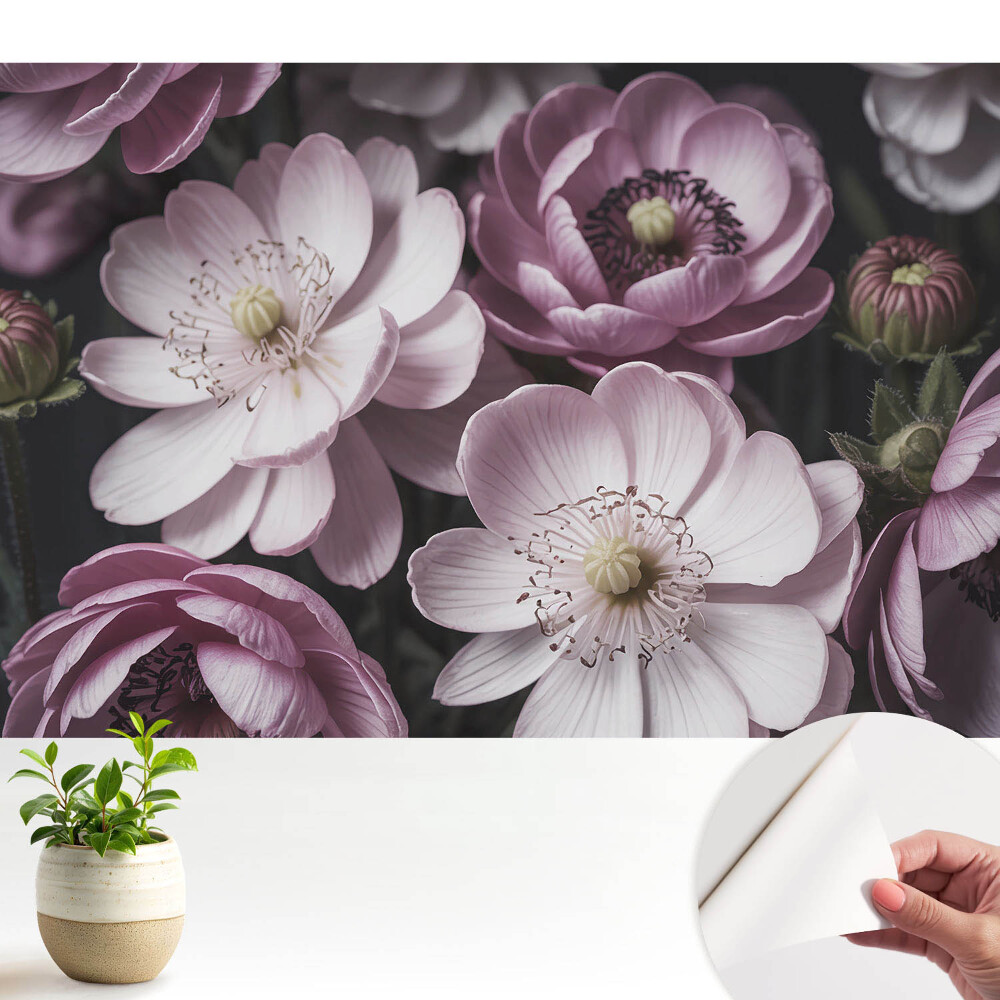 Tapety na stenu samolepiace Ružové a biele kvety, klasické a elegantné