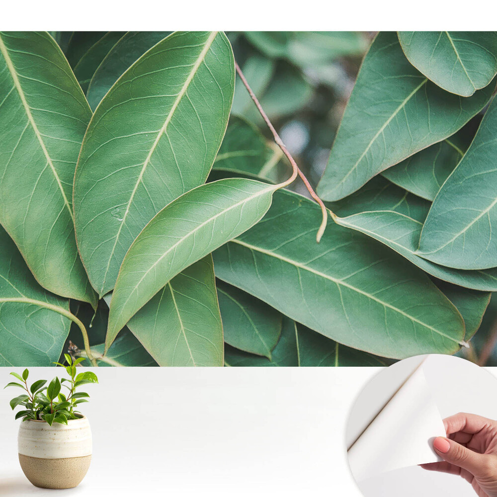 Tapeta Harmónia minimalistického štýlu so zelenými listami