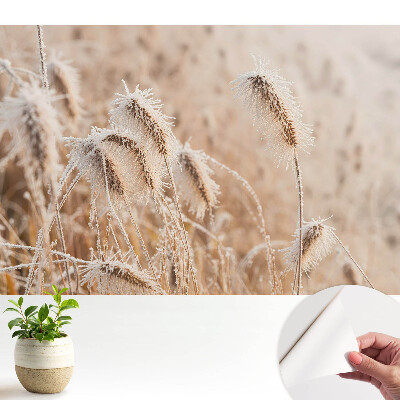 Tapety na stenu samolepiace Mráz na tráve zimná krása príroda