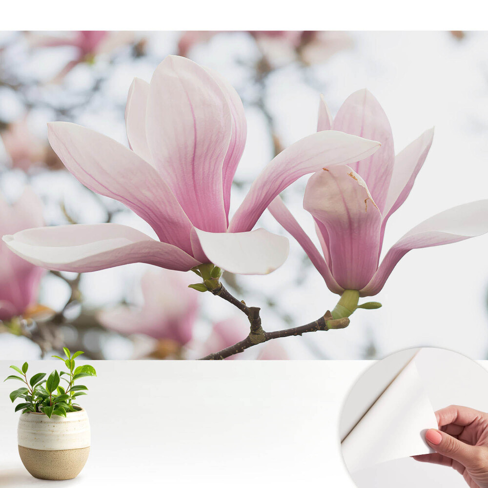 Tapety na stenu samolepiace Ružové magnólie romantická príroda