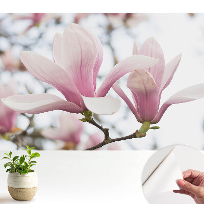 Tapety na stenu samolepiace Ružové magnólie romantická príroda
