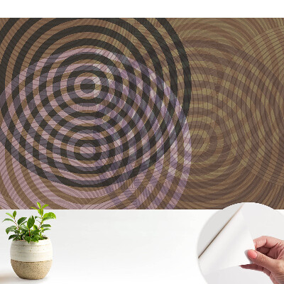 Tapeta do obývačky so sústrednými retro kruhmi v modernom štýle