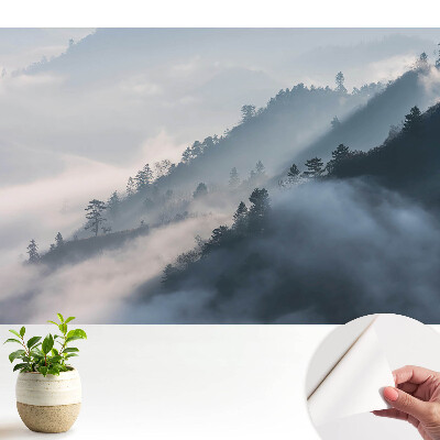 Tapeta s motívom zamračenej krajiny hôr a stromov