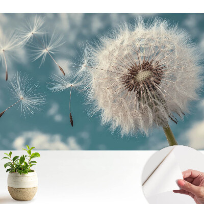 Tapeta na stenu samolepiaca s motívom púpavy vo vetre