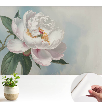 Tapeta Pivonka na modrom pozadí