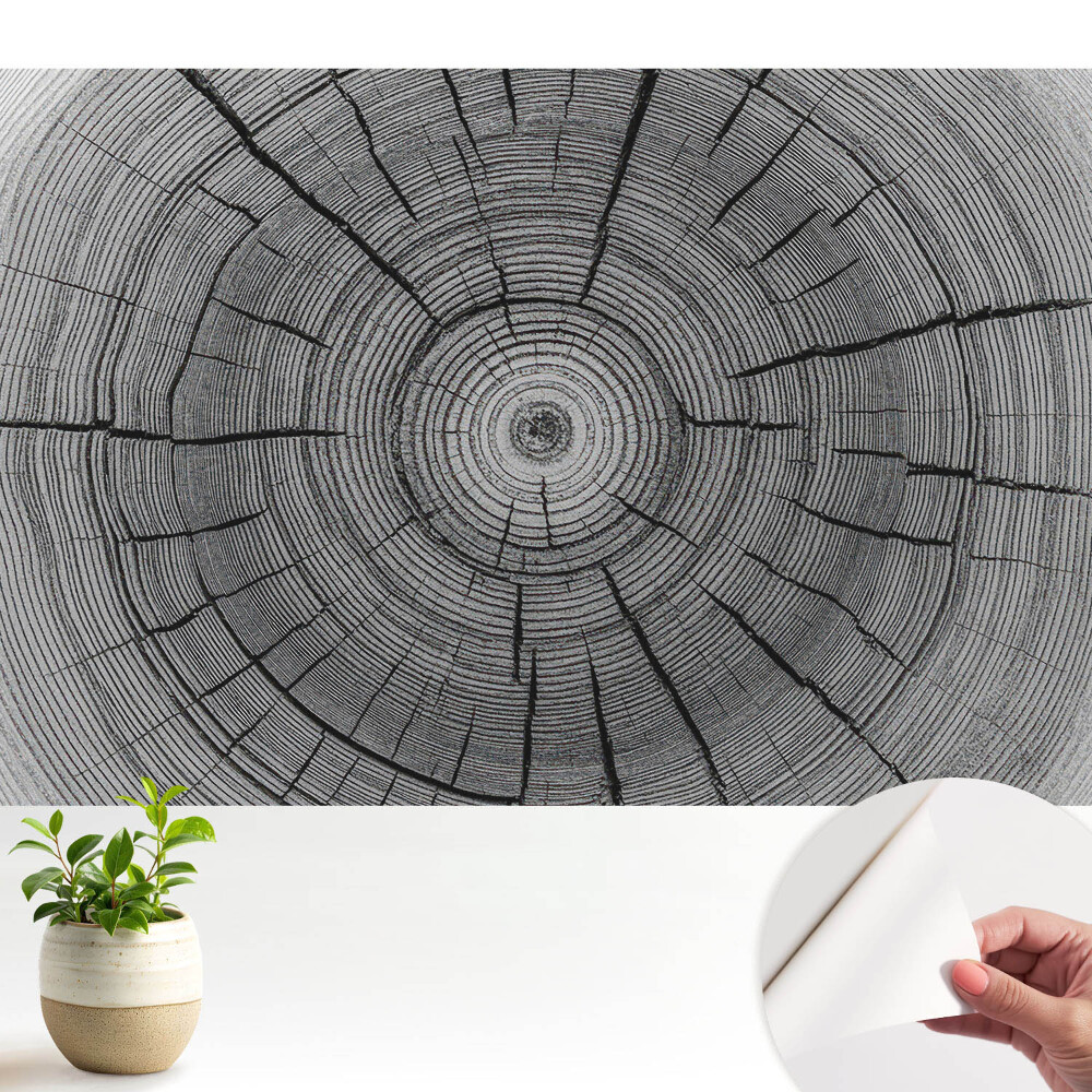 Tapeta Symetrické zloženie drevených kruhov