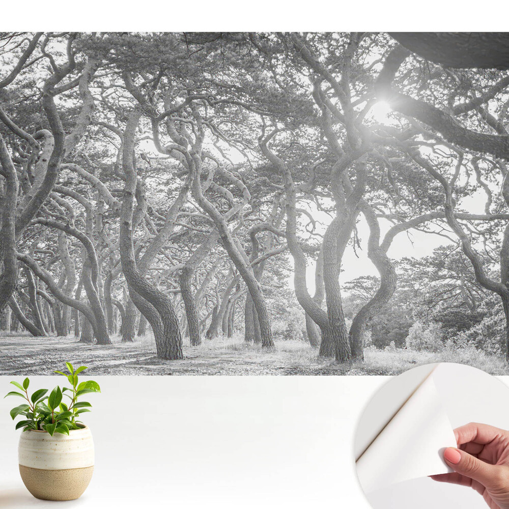 Luxusná tapeta Tajomný, klasický les