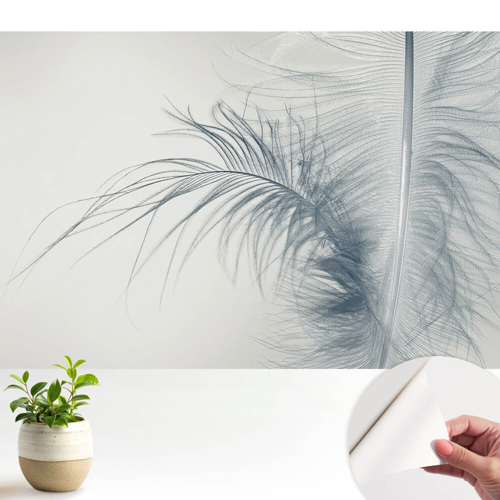 Luxusná tapeta Jemný motív pierok, ľahkosť a harmónia