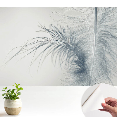 Luxusná tapeta Jemný motív pierok, ľahkosť a harmónia