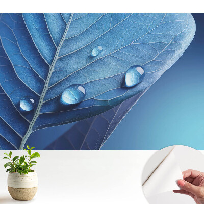 Tapeta do obývačky Abstraktný list s kvapkami vody
