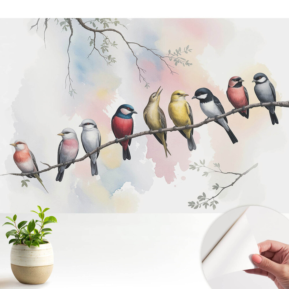 Tapety na stenu samolepiace Farebné vtáky na konári