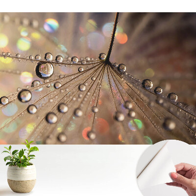 Tapeta Jemná štruktúra kvapiek roztrúsených na pozadí