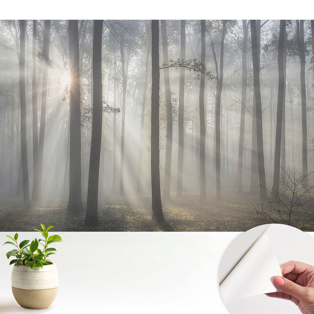 Tapety na stenu samolepiace Ranný pokoj medzi stromami