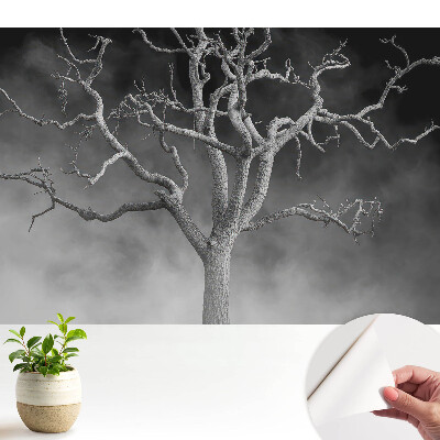 Tapeta Osamelý strom v hmle