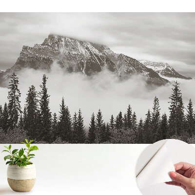 Tapeta do obývačky s motívom horskej krajiny obklopenej hmlou