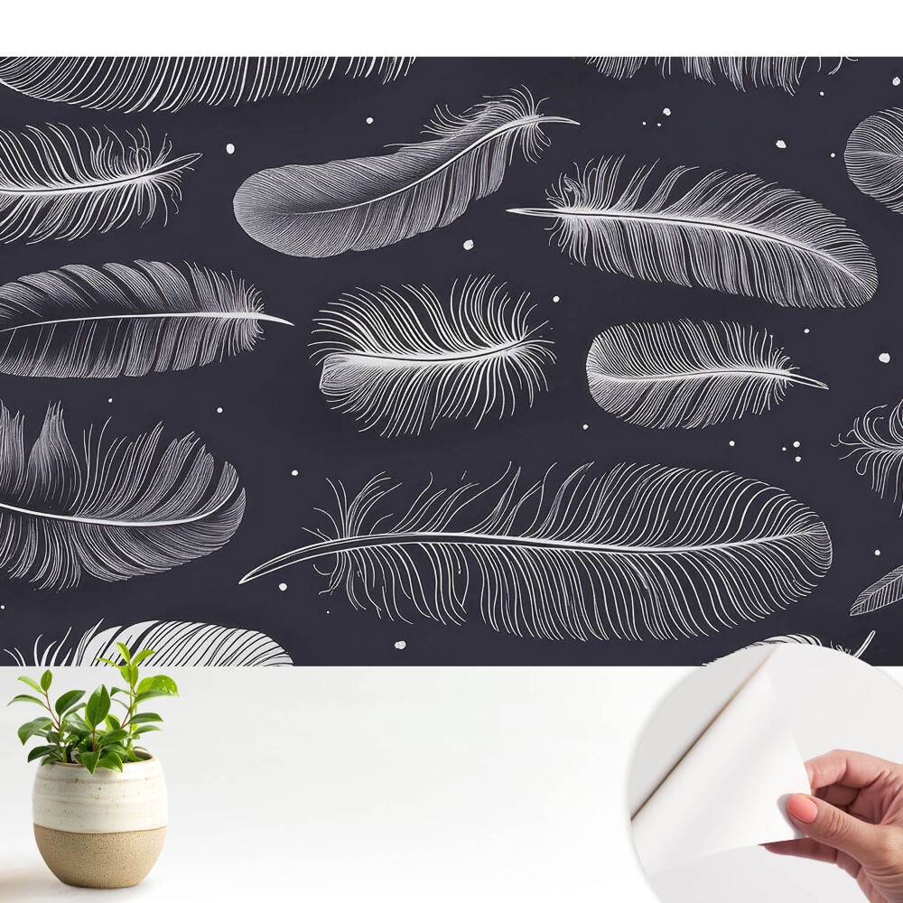 Luxusná tapeta Perie na tmavom pozadí