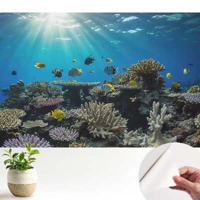 Tapeta s motívom podvodných koralov a farebných rýb vhodná do obývačky