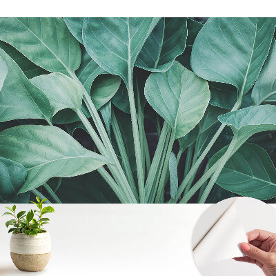 Tapeta Harmónia prírody so zelenými listami