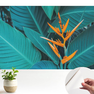 Tapeta s motívom exotických rastlín