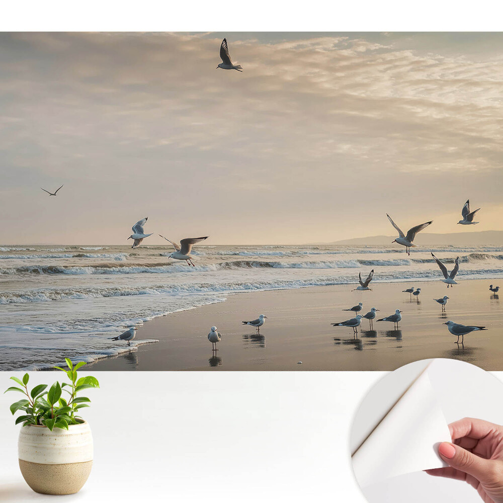 Tapety na stenu samolepiace Čajky na pobreží pri západe slnka