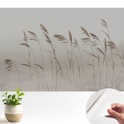 Tapeta Jemné steblá trávy v hmlistej aure