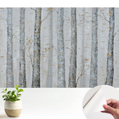 Tapeta na stenu samolepiaca s motívom brezového lesa v klasickej kompozícii