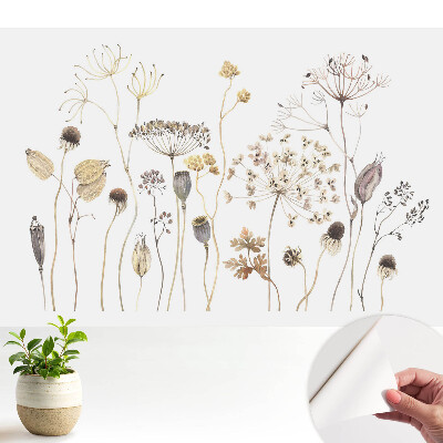 Tapeta Rustikálna kompozícia zo sušených rastlín