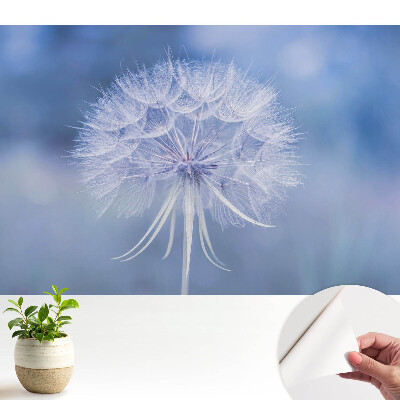 Tapeta do obývačky s motívom púpavy v modrých tónoch