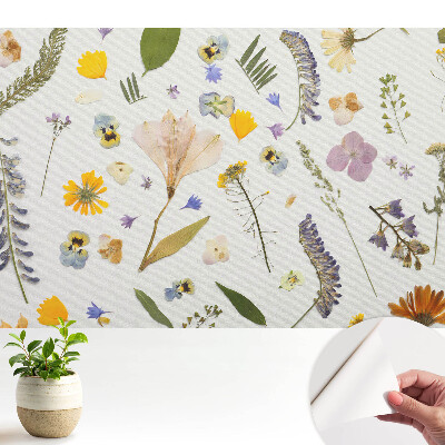 Tapeta na stenu samolepiaca so vzorom sušených kvetov na bielom podklade