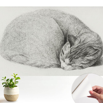 Luxusná tapeta Realistická kresba spiacej mačky