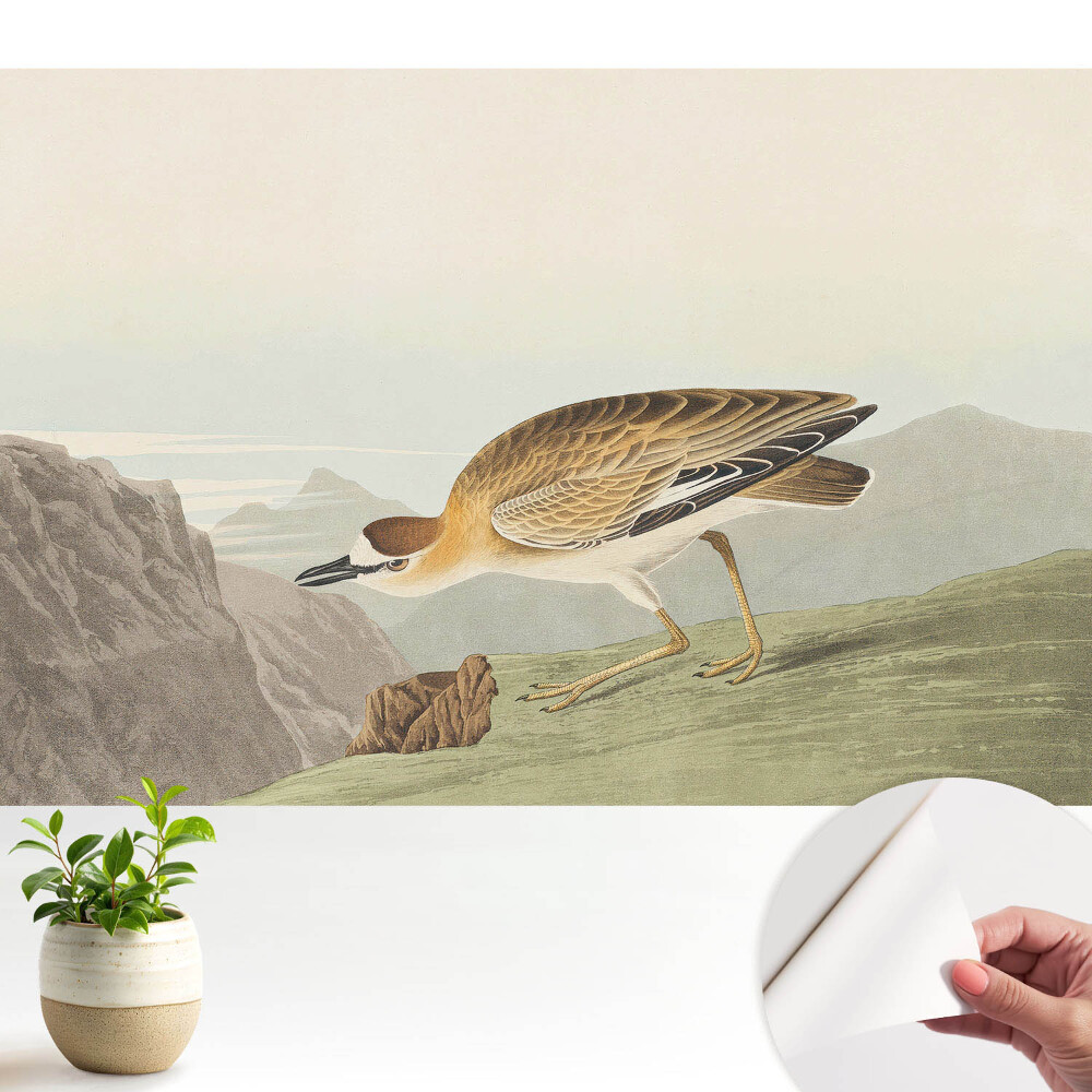 Tapety na stenu samolepiace Vták na úbočí hory