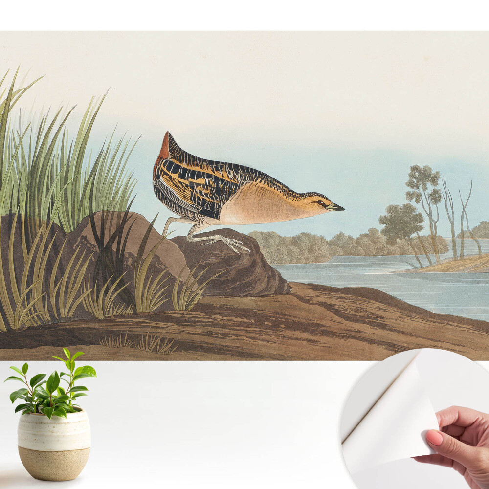 Luxusná tapeta Vták nad vodou v klasickom štýle