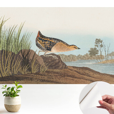 Luxusná tapeta Vták nad vodou v klasickom štýle