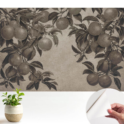 Tapeta do obývačky s monochromatickým retro vzorom ovocia a listov v štýle vinobrania