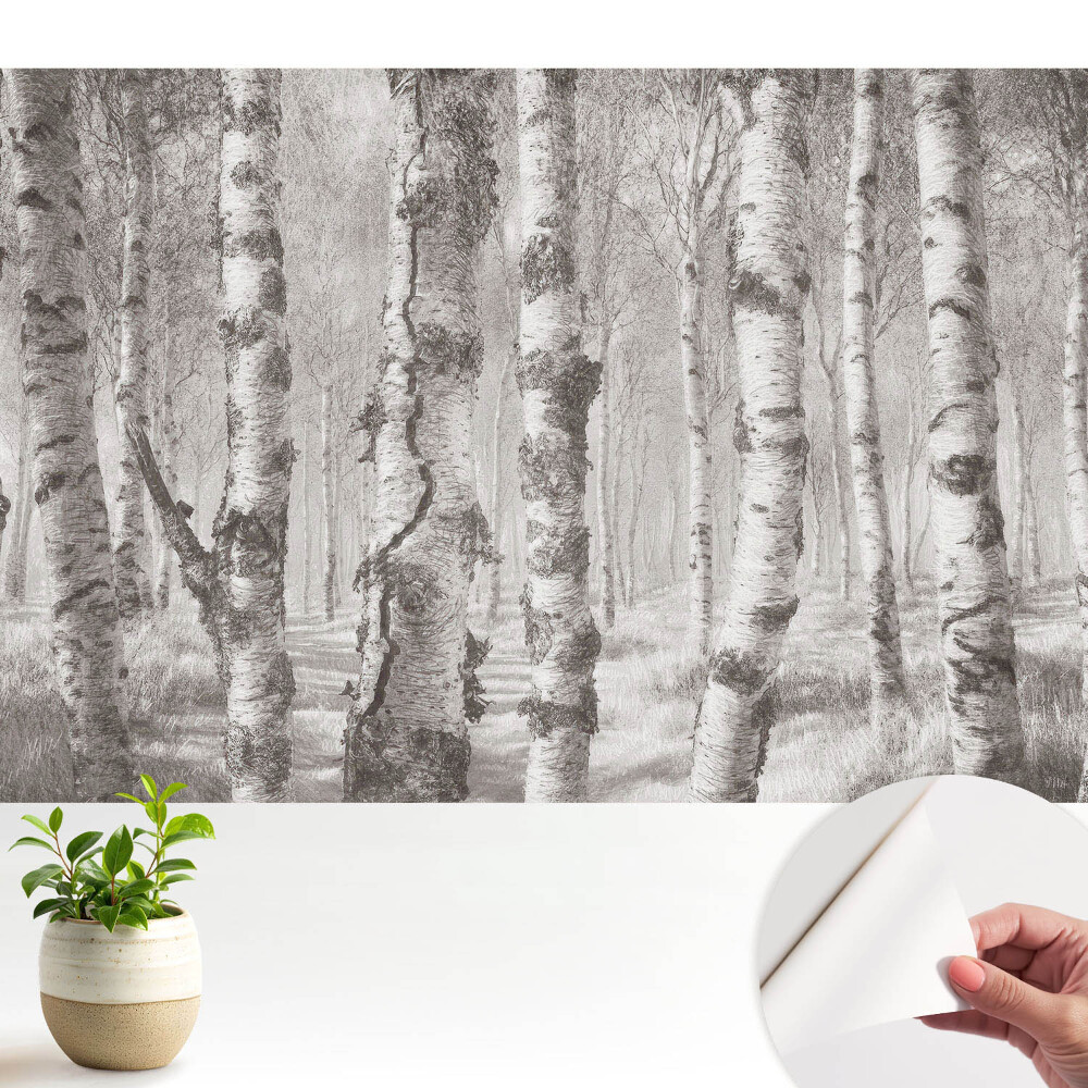 Tapeta Brezy v klasickom lese